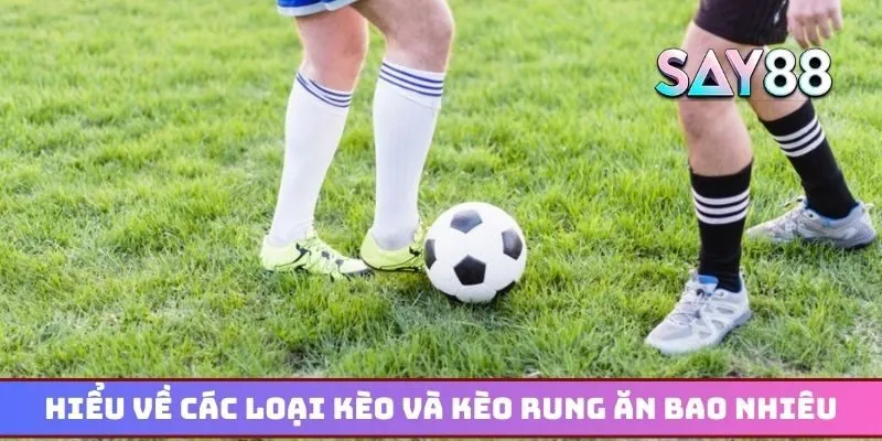 Hiểu về các loại kèo và kèo rung ăn bao nhiêu trong cá độ
