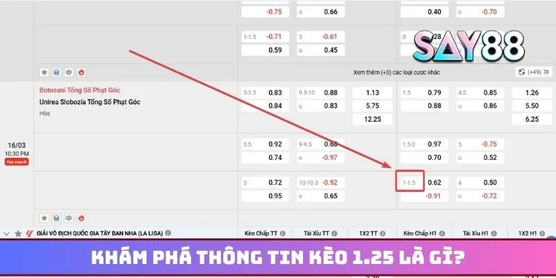 Khám phá thông tin kèo 1.25 là gì khi cá cược trên nhà cái?