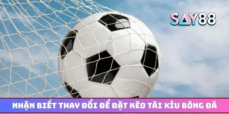 Nhận biết thay đổi để đặt kèo tài xỉu bóng đá thành công